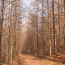 명상기공 이미지