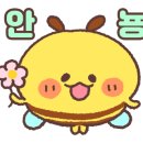 참약사열린약국 이미지