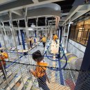 미상지유치원 이미지