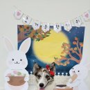 어뮤즈퍼피 이미지