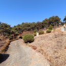 부여 황신 묘 이미지