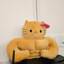대전 둔산동, 피티와 체형교정 수업이 동시에 가능한 대전여자체형교정 전문! 조짐 헬스 PT 둔산점