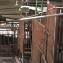 김광수 농장 이미지