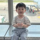 2025.05 3박4일 나고야여행 with 27개월아기랑 ✈️