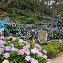 명사초등학교 이미지