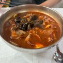 캐시미르 | 태안 캐시미르 호텔 (내 돈 내산 찐 후기!)