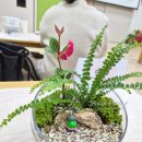 보람유치원 | 유치원 어린이집 부모참여 그림책 힐링 원예테라피 수업 테라리움 만들기 출강 후기