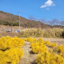 황금수퍼 이미지