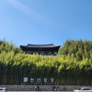 대통기획 | 🎋 2026 담양 대나무 축제 + 죽녹원 완전 정복 후기 | 주차 꿀팁까지
