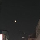 손톱달 - 여수시 | 손톱달