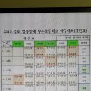 2016 국토 정중앙배 우수초등학교 야구대회 대진표 이미지