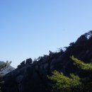 신선봉가든 이미지