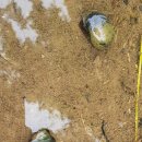 윤슬농장 이미지