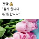 🌏인도의 초대 총리 네루의 교육 철학처럼 🦝나는 살인마수다" 라고 고백하는 유해 동물은 선진국에서 포획 살처분 처리하는 것을 교육~ 이미지