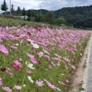 옥동행정복지센터 이미지