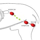 래플즈동물병원 이미지