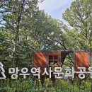 헬기장 이미지