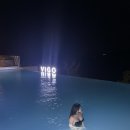 비고리조트 9 이미지