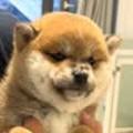 LOUISMONG(루이몽) 네이버블로그