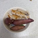 테헤란체리산부인과의원 | 4월 4일 | 고구마 4일 차, 알바와 운동까지 다 챙긴 하루 🍠
