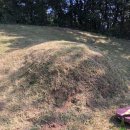 무릉도원면-18 이미지