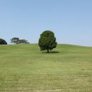 올림픽공원 북1문 옆 공원 이미지