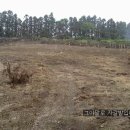 화산농장3 이미지