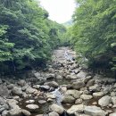 산 그리고 바다 53회차 정기산행 - 2026년 6월 13일 지리산(경남 함양) 이미지