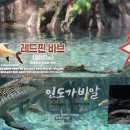 마루농장 | [사천놀곳] '아라마루 아쿠아리움' 사천 아이랑 가볼만한 곳 하마 관람시간 입장권 추천