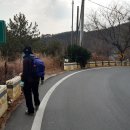 진동면사무소 이미지