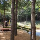 머내과학 공원 이미지