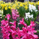 안면펜션 이미지