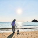 팻팸제주 이미지