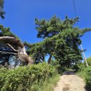 사암3리 이미지