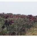 농원농산 이미지