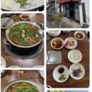 대도식당 | 인스타 릴스 해장 맛집 대도식당 제주 서귀포점 내돈내산 솔직 후기