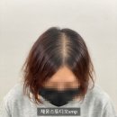 채움스튜디오smp 이미지