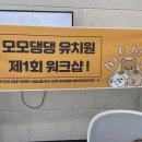 모모댕댕 이미지