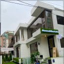 시바견 분양 루이몽 강남본점 이미지