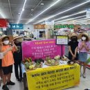 줄포초교 이미지