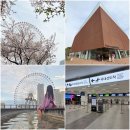 터미널천냥 | 일본 요코하마 여행 제주도 태풍 제주항공 결항 대구공항 새벽 4시 40분 항공권 현장 발권 대기