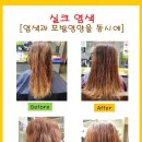 염색앤두피천안불당점
