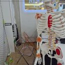 뉴얼라인필라테스 - 강서구 수명로 68-23 | 건강과 아름다움의 완벽한 조화, 목동필라테스 뉴얼라인필라테스 솔직 후기