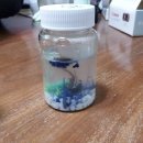 (주)정원화학 이미지