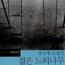 젊은느티나무