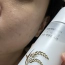 애지농장 | 올리브영미백토너 땡큐파머 강화 교동쌀 맑음 에센셜 토너 후기