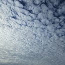 아덴힐CC 이미지