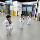 용인대 장안 태권도 이미지
