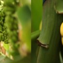 분토길 29 이미지