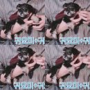 뮤직맥스 이미지